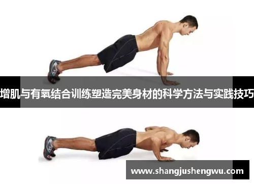增肌与有氧结合训练塑造完美身材的科学方法与实践技巧