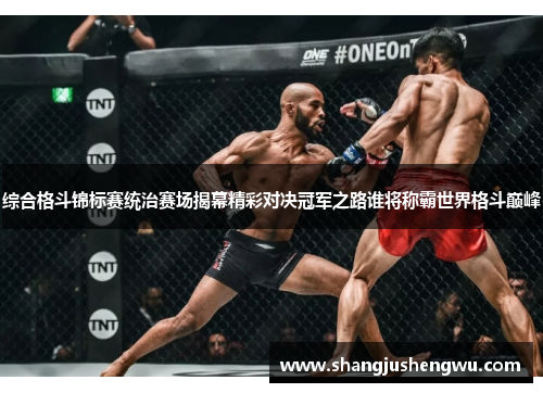 综合格斗锦标赛统治赛场揭幕精彩对决冠军之路谁将称霸世界格斗巅峰