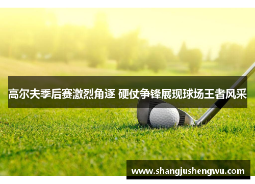 高尔夫季后赛激烈角逐 硬仗争锋展现球场王者风采