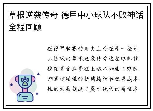 草根逆袭传奇 德甲中小球队不败神话全程回顾